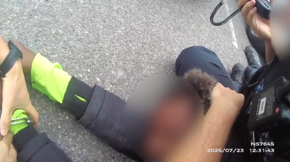 Arrest of shoplifting suspect.