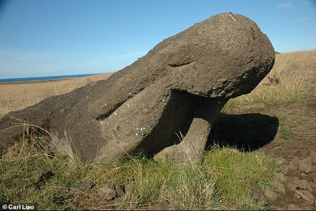 Some moai heads found by the side of transport routes show evidence of attempts to right them by digging under their feet (pictured). The researchers believe these 'moai roads' were also shaped specifically to help support a rocking motion.