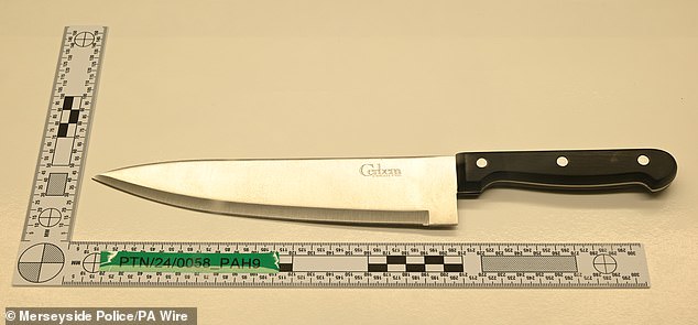 A knife identical to the one used in the attack at The Hart Space dance studio, on July 29 last year