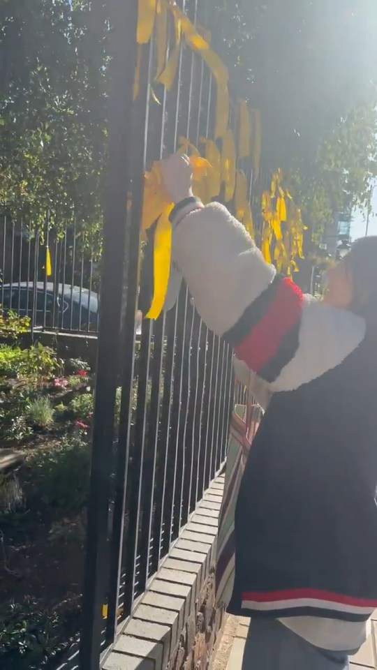 A woman cutting down yellow ribbons tied to a black fence.
