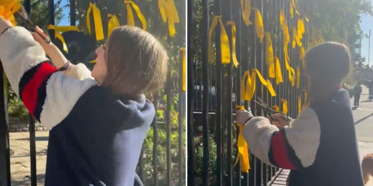Woman who cut down yellow ribbons for Israeli hostages in Gaza is questioned by police as cops probe criminal damage – The Sun