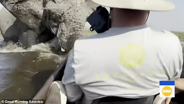 The elephant seemingly targeted a different tourist after knocking the boat over