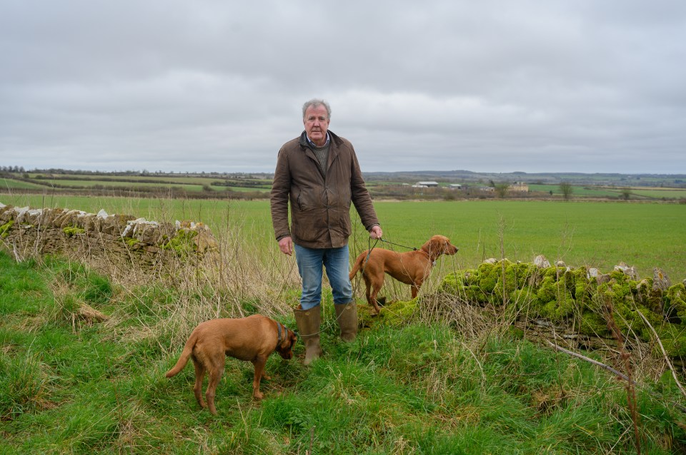 Jeremy Clarkson and two dogs in a field.