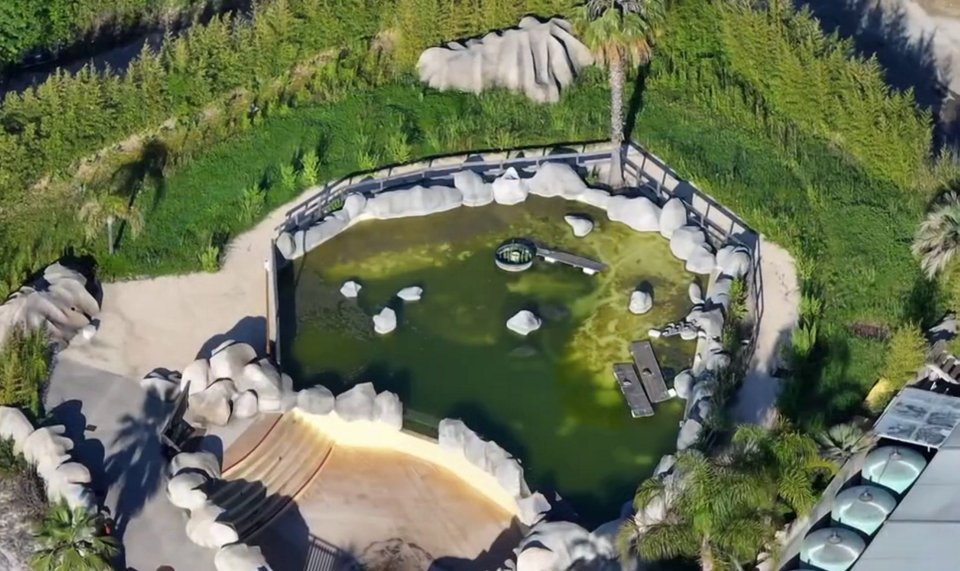 An aerial view of an abandoned marine park pool with algae-infested water.