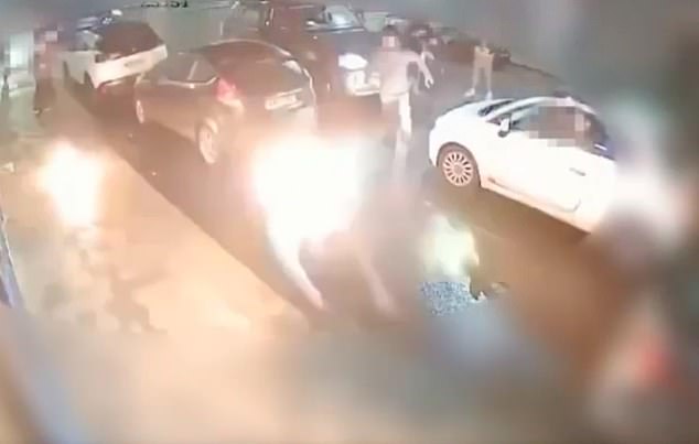 CCTV images show the moment Reed's friend Carl Wild, 24, threw a Molotov cocktail at the head of fellow reveller David Brotton