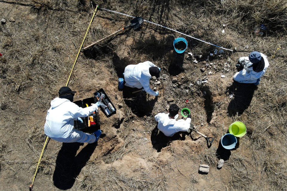 Forensic technicians excavating a field plot.
