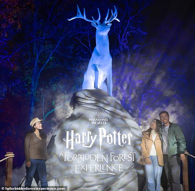 The Forbidden Forest Experience is due to be held on November 7 at Stanley Park