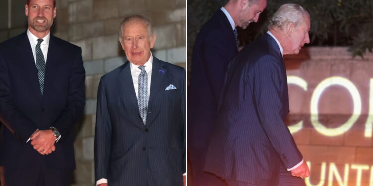 Charles and William make rare joint appearance at eco-conference ahead of Prince's trip to Brazil on behalf of King