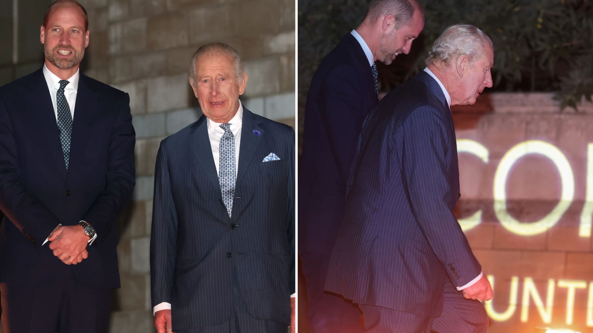 Charles and William make rare joint appearance at eco-conference ahead of Prince's trip to Brazil on behalf of King