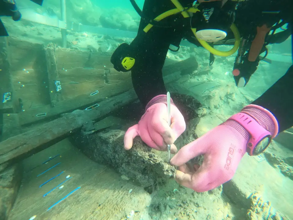 A diver in pink gloves and a black wetsuit uses a tool to excavate ancient timbers underwater.