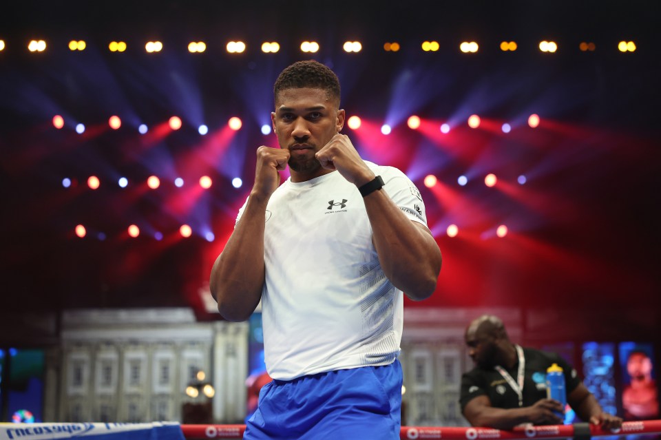 British heavyweight boxer Anthony Joshua posing with fists raised during an open workout.