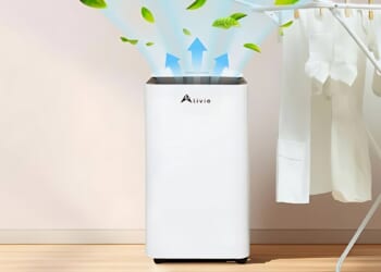 Wowcher’s top-rated dehumidifier slashed from £300 to £68 for one day only