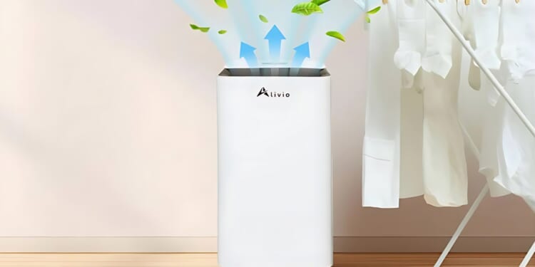 Wowcher’s top-rated dehumidifier slashed from £300 to £68 for one day only