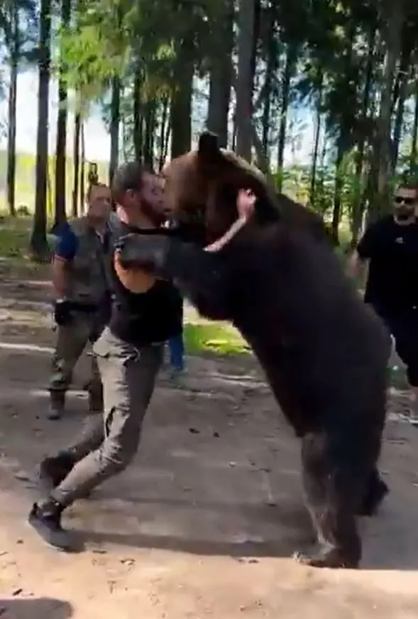 Arslanbek Makhmudov grappling with a bear.