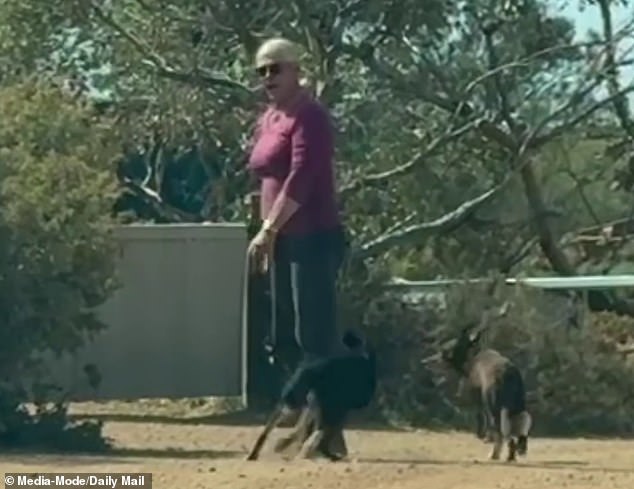 Gus's grandparent, Josie Murray - a transgender woman who locals say transitioned many years ago - told the Daily Mail the family had not lost hope