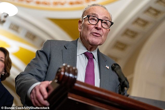 Senate Minority Leader Chuck Schumer said the blame for the layoffs rested with Trump