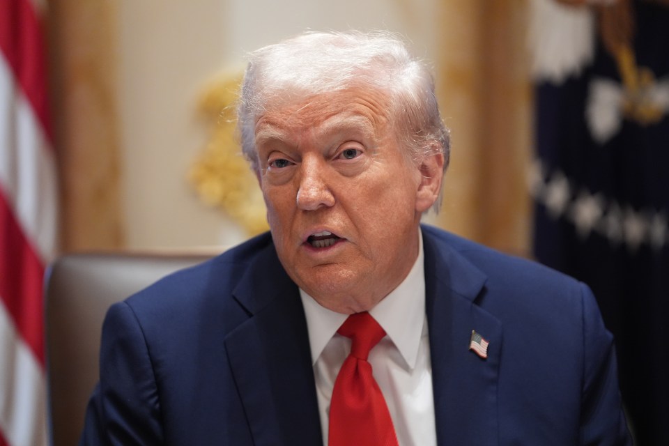 President Donald Trump speaks during a cabinet meeting.