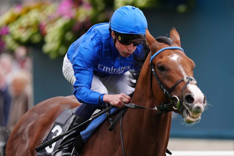 Jockey William Buick riding Ombudsman winning a horse race.