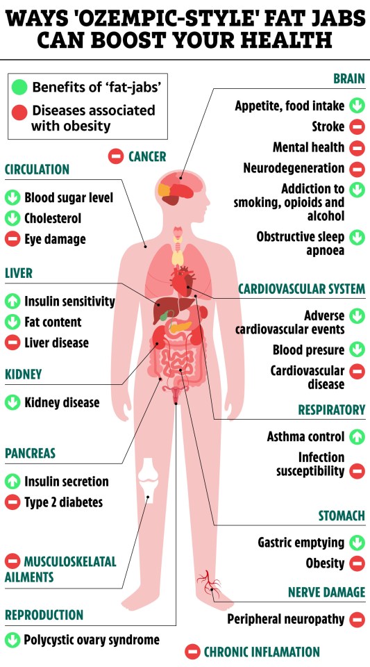 Illustration of how Ozempic-style fat injections may improve health by reducing various diseases associated with obesity.