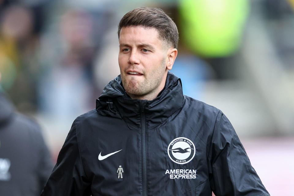 Fabian Hurzeler of Brighton before a Premier League match.