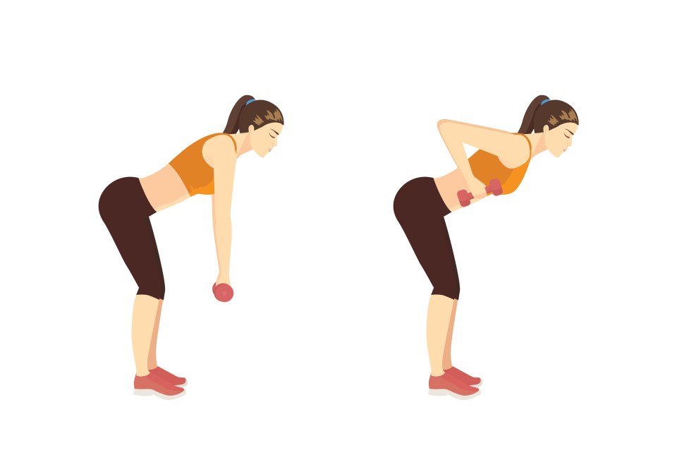 Sport Women doing Fitness with Dumbbell by Deadlift Back Row pose in 2 steps. How to Build Muscle and Boost metabolism with Weighted Workout.