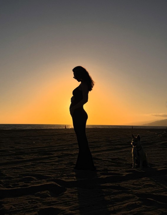 Silhouette of a pregnant woman on a beach with a dog beside her during sunset.