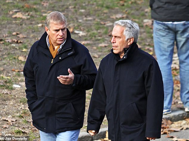 Andrew claimed he had cut ties with Epstein after they met in New York in December 2010 (pictured)