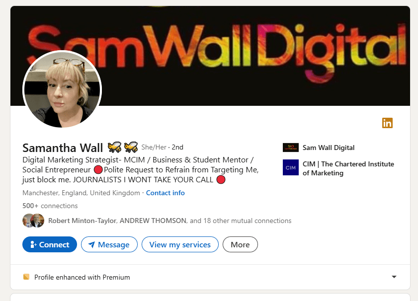 LinkedIn profile of Samantha Wall, a Digital Marketing Strategist.