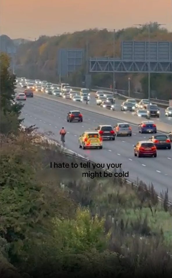 A cyclist with a delivery bag pedaling on a busy multi-lane highway surrounded by cars in rush hour traffic.