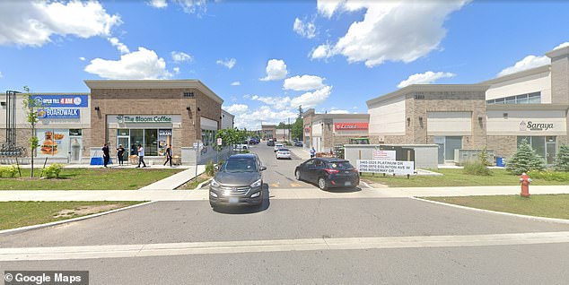 Her full-blown meltdown began when she noticed a man recording the scene of a fender bender near the Ridgeway Plaza strip mall in Mississauga