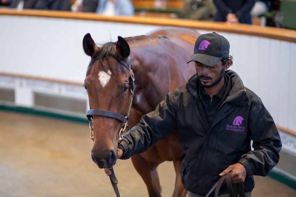 Lot 668 Minzaal (IRE) / Chiclet (IRE) B.F. (IRE)	Baroda Stud, Ireland	Karl & Kelly Burke	450,000<br />
Tattersalls October Yearling Sale<br />
Book 23<br />
13OCT25