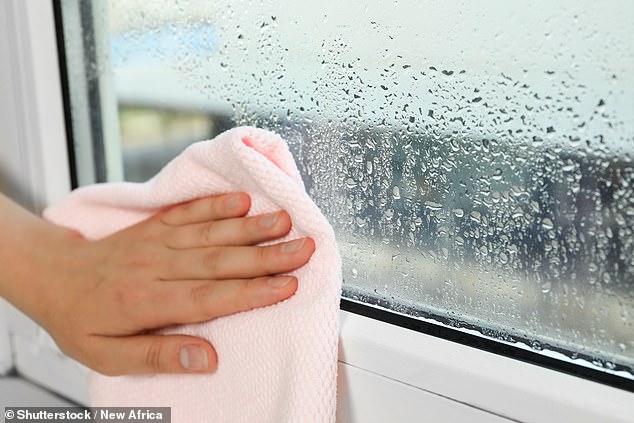Are you constantly wiping condensation off your windows? It could be time for a dehumidifier