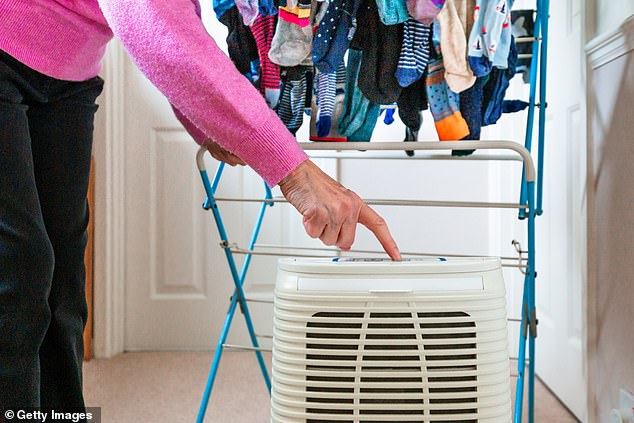 Using a dehumidifier instead of turning on the heating to dry clothes could save you money too