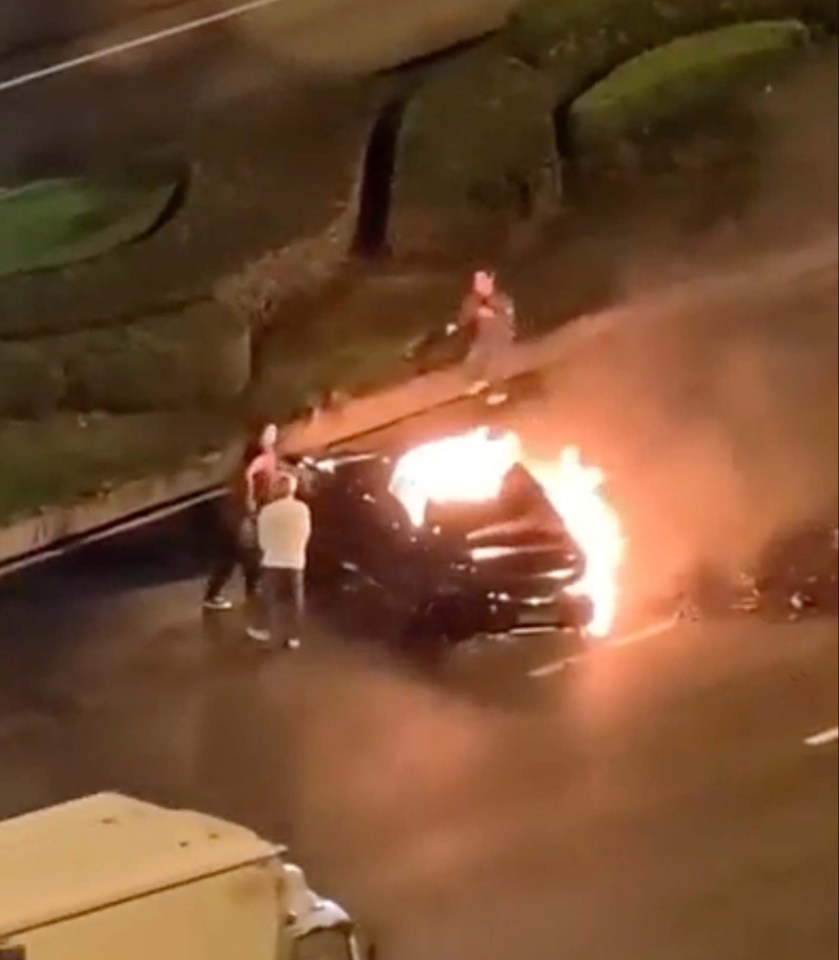 NINTCHDBPICT001031063220