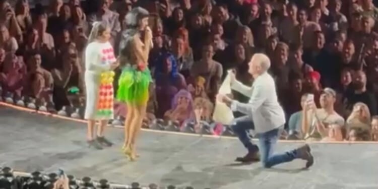 British Katy Perry fan who proposed to star live on stage in London revealed as divorced dad of three