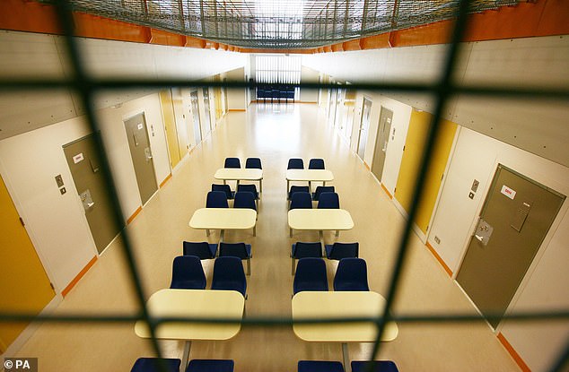 Prisoners and those having their immigration status decided at Brook House, pictured, as well as Tinsley House will have access to 'welfare buddies', board games and free gym access
