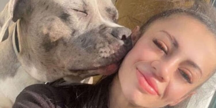 Woman tried to argue her XL Bully was friendly after it attacked street and was shot dead by cops