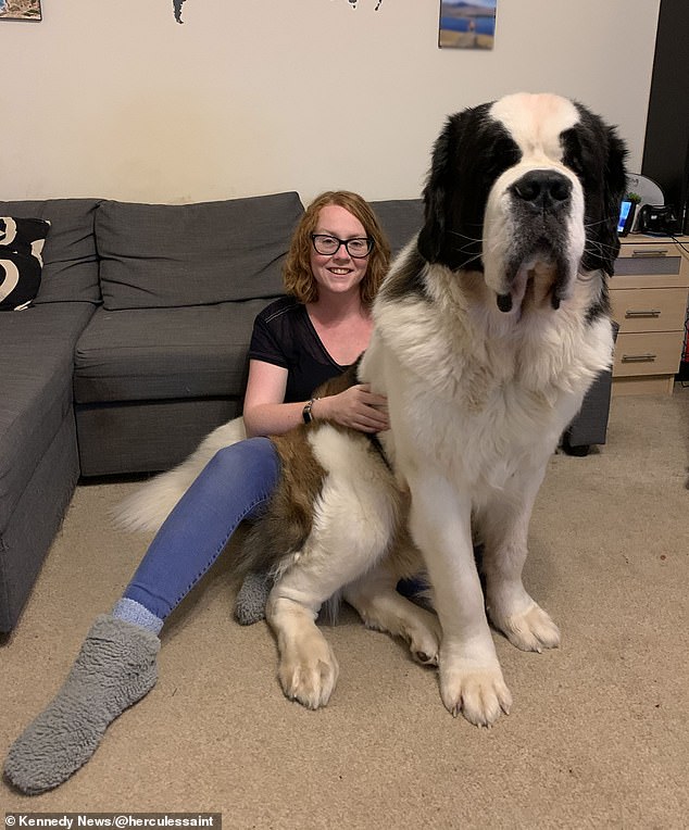 Katie Bridge (pictured), 33, was also unable to afford her gigantic 12-stone dog's cancer treatment - because his huge size had made the bills so expensive