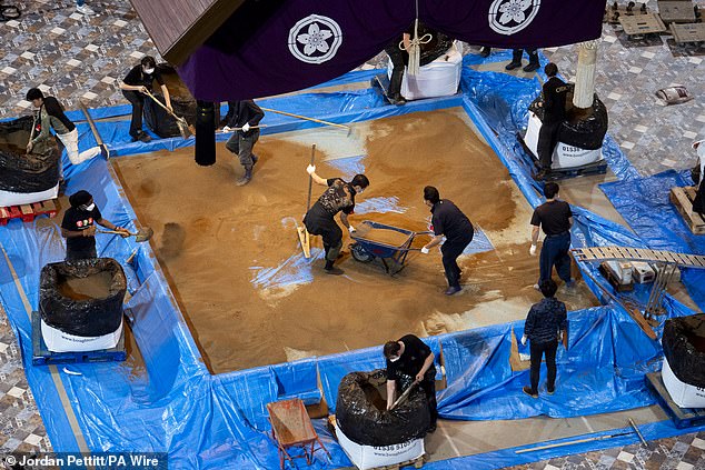 The Royal Albert Hall is pulling out all the stops to cater for the fighters, weighing a combined six tons