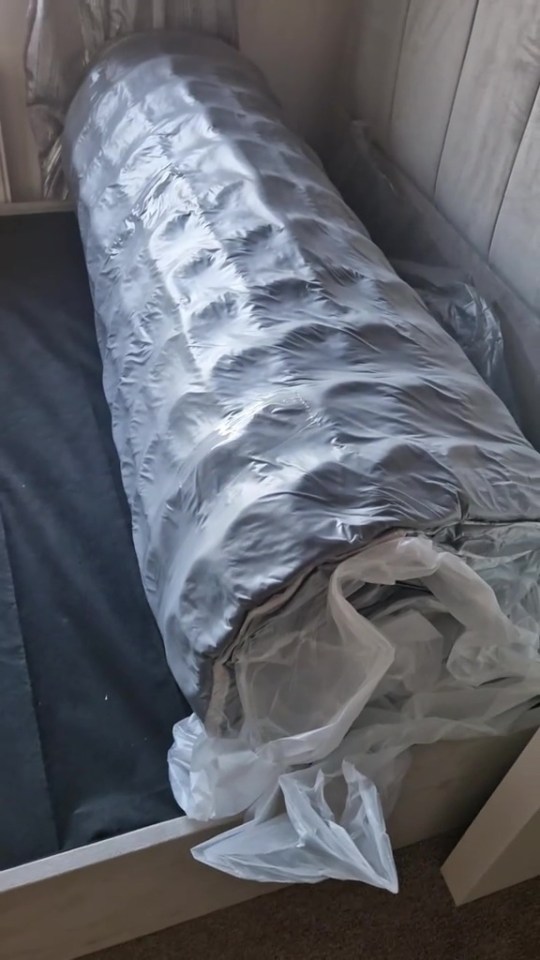 NINTCHDBPICT001031320880