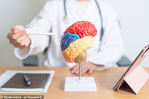 Dr Voskuhl said the findings may also have implications for explaining a connection to brain fog in healthy women during menopause (stock image)