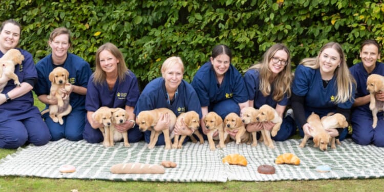 Sweet snaps show birth of 13 puppies in largest litter known as The Baker’s Dozen