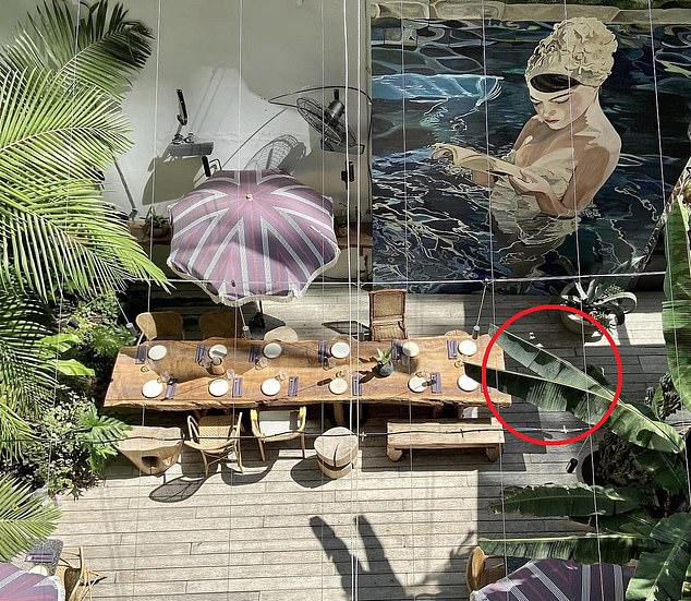 The singer fell from a suite at the Casa Sur Hotel with a balcony overlooking a swimming pool and an outdoor restaurant, and is thought to have landed in the spot circled above