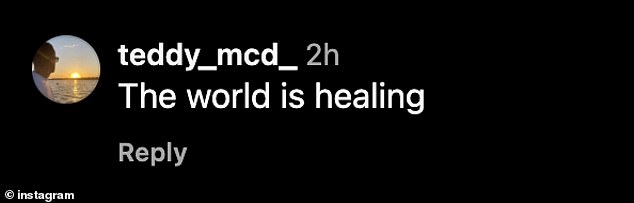 One poster wrote that 'The world is healing' now that Emrata had made her Victoria's Secret Fashion Show debut