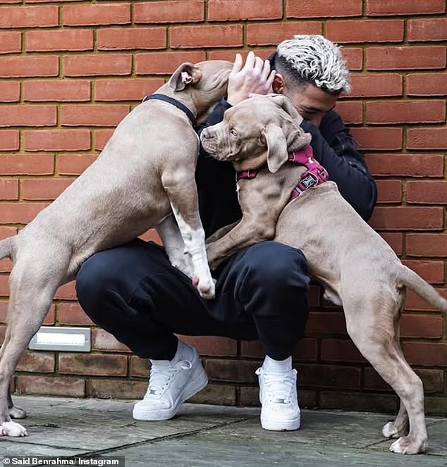 The former West Ham man is charged with two counts of owning dangerously out of control dogs