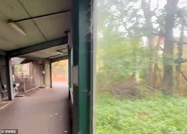 The individual who filmed the footage said they uploaded it online to 'find the animals and spread awareness', adding they had spent 'several hours' inside the closed zoo