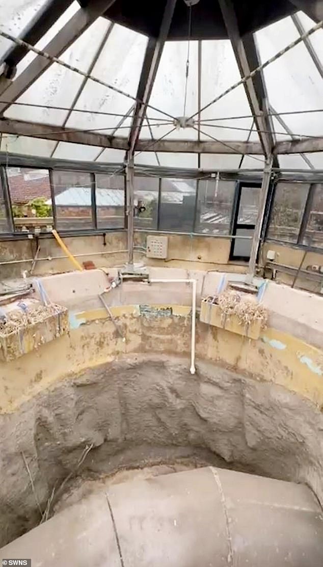 Footage capturing gorillas still in their enclosure at Bristol Zoo which is overgrown and deserted since closing its doors in 2022