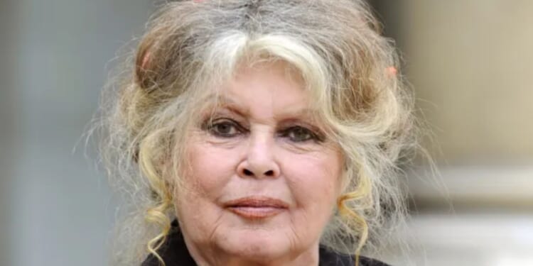 Brigitte Bardot, 91, rushed to hospital 'with serious illness' and undergoes surgery