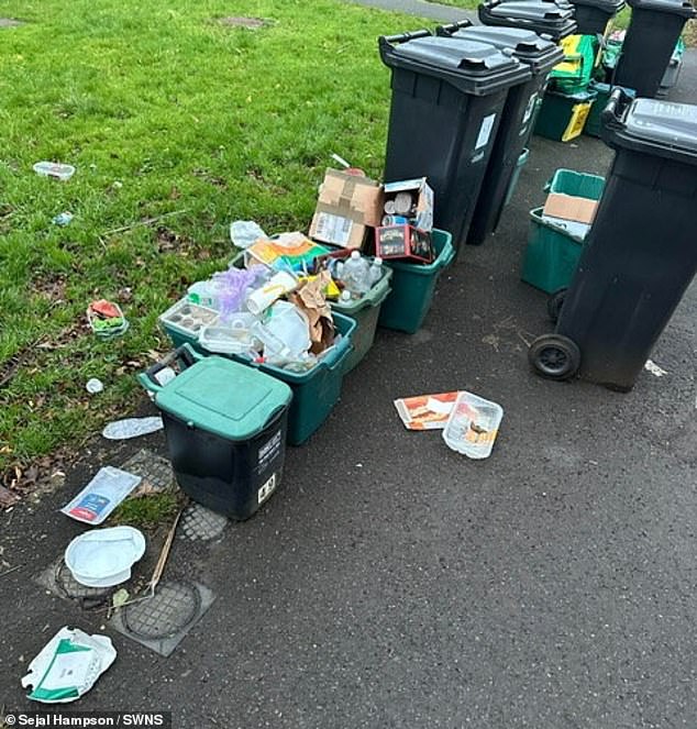 Locals say the students carelessly leave out piles of rubbish which spills on to the road leading to rodent infestations and to wildlife eating food from ripped open bins