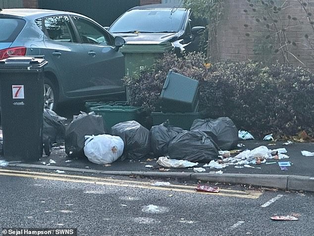 In May 2026 South Gloucestershire Council will be moving black bin collections to only occur every three weeks